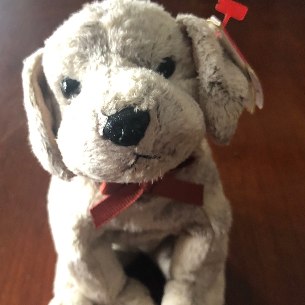 Ty 2000 TRICKS The Dog Beanie Baby, 7 Inches, New w/mint Tags, Original, Retired